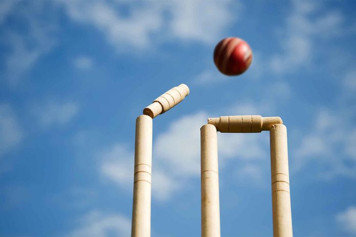 Play Fantasy Cricket- Earn Online Cash