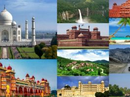 The Ultimate Guide and Tips to Travel to India