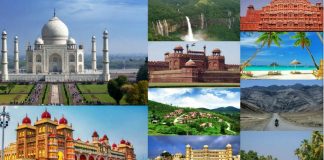 The Ultimate Guide and Tips to Travel to India