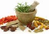 Home Remedies for Fungal Infections