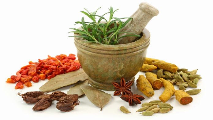 Home Remedies for Fungal Infections