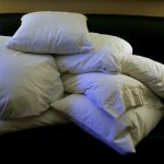 Boddy Pillows