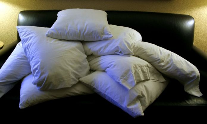 Boddy Pillows