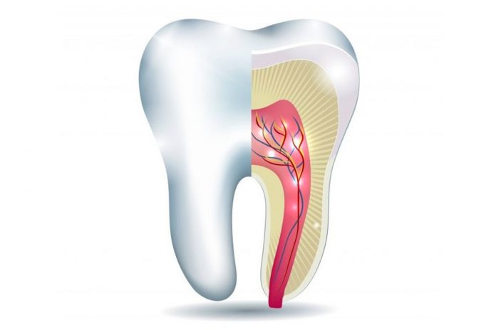 Root Canal Treatment